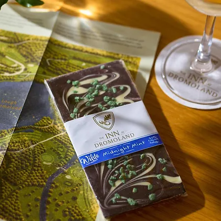 فندق The At Dromoland Newmarket-on-Fergus